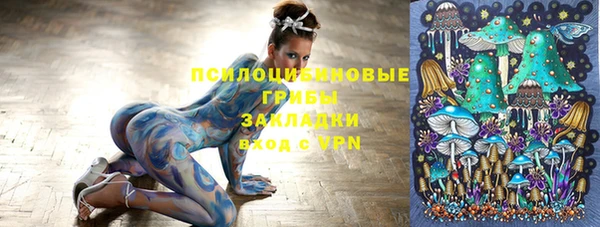 скорость Алзамай